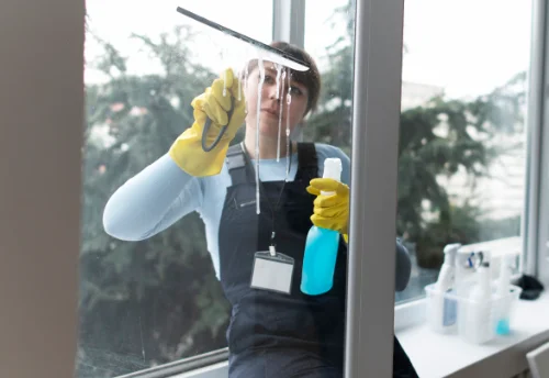 Nettoyage de vitres intérieures et extérieures à Chaleins